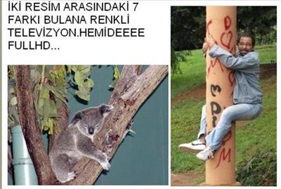 sen benim sıradan insalardan farkımsın