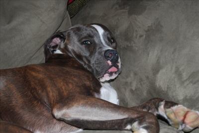 Sleepy Kiss!
