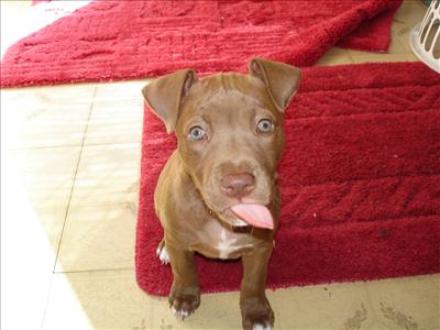 What a licker! Kiss