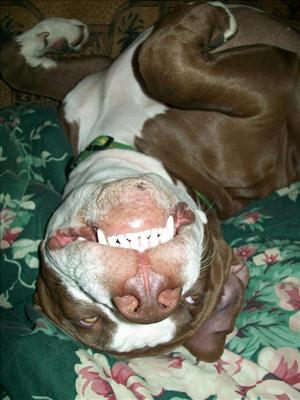 Cheeeeeze!!