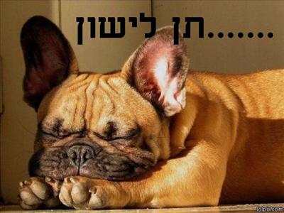 עייף