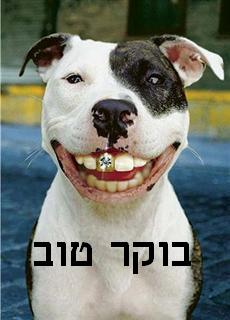 לא עייף