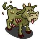 zombie cow