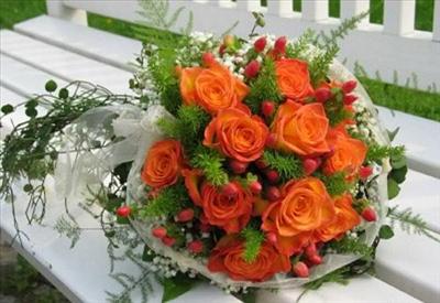 Orange Roses