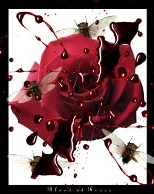 blood rose