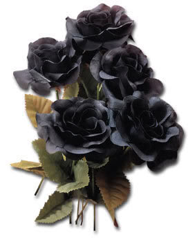 black rosez