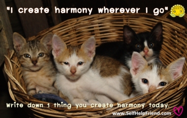 I create harmony wherever I go