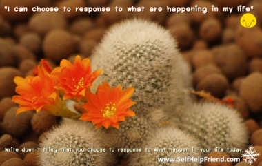 I can choose to respond to what are happening in my life