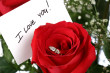 love cards 4u