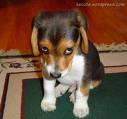 Sad Smile