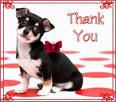 Thanks Smile
