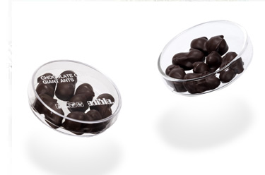Chocolate Ants