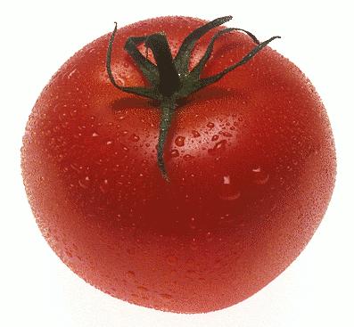 Tomatoes