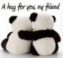 hugs !