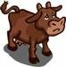chocolate cow