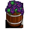 barrel of grapes