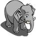 baby elephent