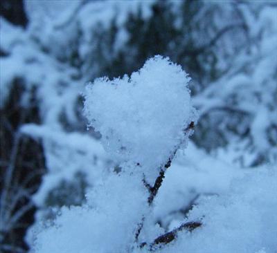Snow Heart