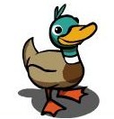 Pato
