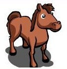 Cavalo
