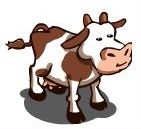 Vaca