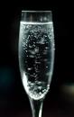 SPARKLING WATER