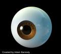 AN EYE