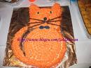 pasta(kedi)
