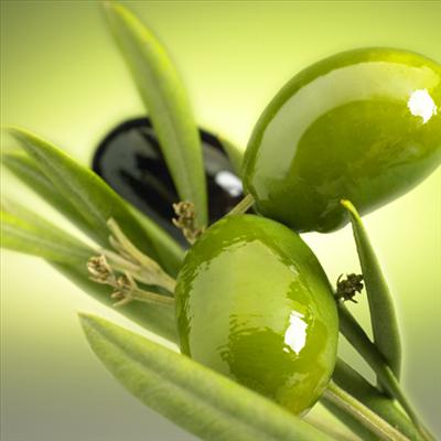ZEYTİN