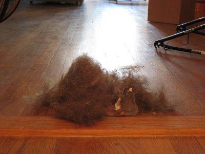 Werewolf hair