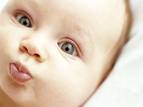 Bebek