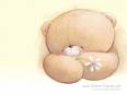 thinking of u