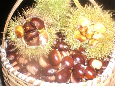 bir sepet kestane