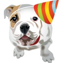 Cute Puppy