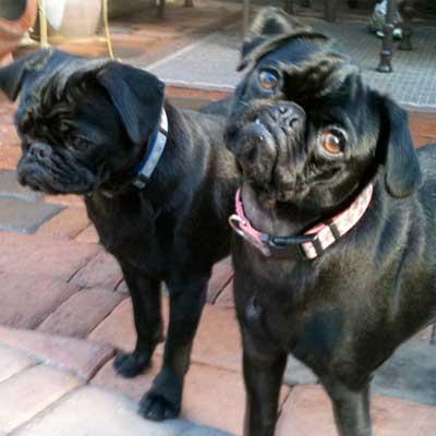Double Trouble