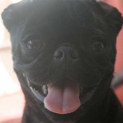 Big Face