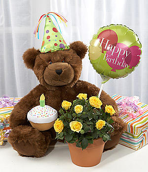 Bear