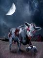 zombie cow