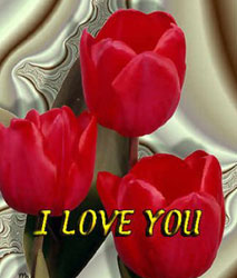 lale