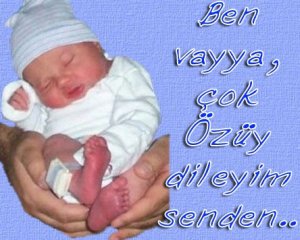 bebek