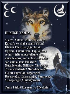 BOZKURT6