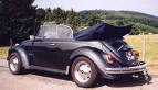 VW Bug