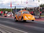 VW Bug
