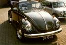 VW Bug