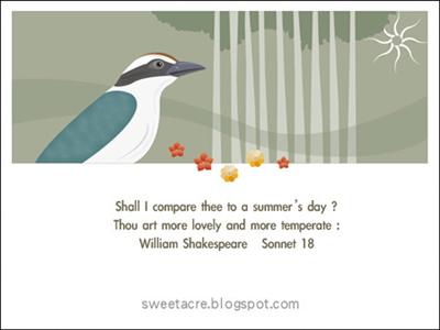 summer's bird