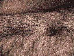 Belly Button