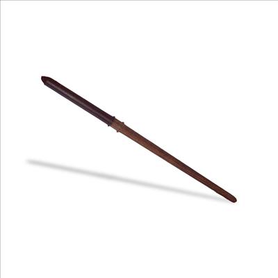 Harry Potter's Wand