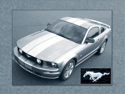 \" Nice Car \"