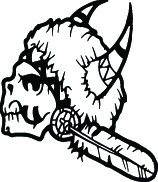 Skull 7