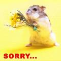 I'm sorry